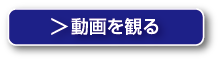 動画を観る